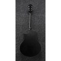 Ibanez AE295-WK