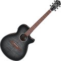 Ibanez AEG70-TCH