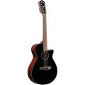 Ibanez AEG5012-BKH