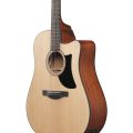 Ibanez AAD50CE-LG