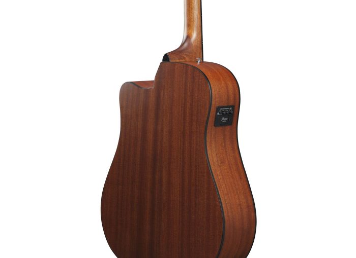 Ibanez AAD50CE-LG