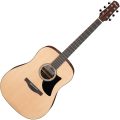 Ibanez AAD50-LG
