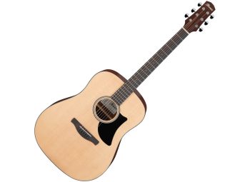 Ibanez AAD50-LG