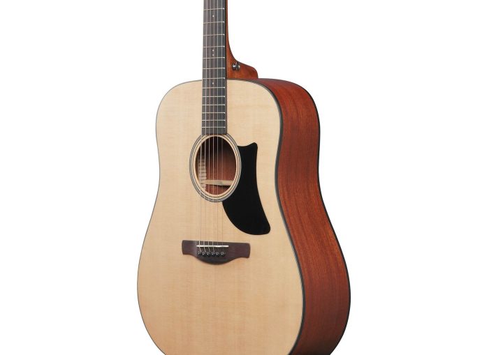 Ibanez AAD50-LG