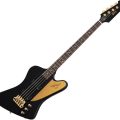 Gibson Rex Brown Thunderbird Ebony