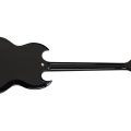 Gibson Rex Brown Thunderbird Ebony
