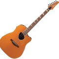 Ibanez ALT30