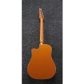 Ibanez ALT30