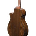Ibanez AEG74-MHS Westerngitarr med mik