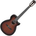 Ibanez AEG74N-MHS Nylonsträngad med mik