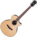 Ibanez AE300ZRJR-NT