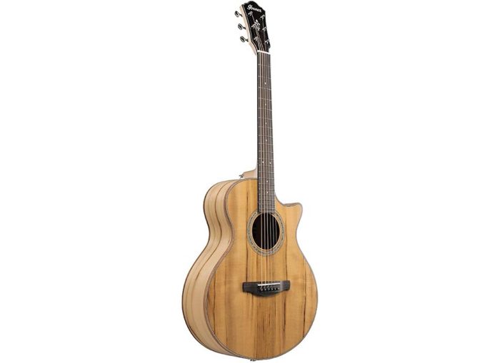 Ibanez AE300MWJR-NT