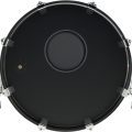 Roland KD-20-MS