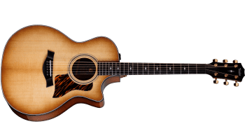 Taylor 314ce 50th Anniversary