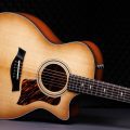 Taylor 314ce 50th Anniversary