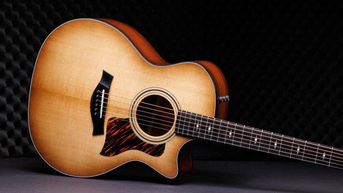 Taylor 314ce 50th Anniversary