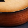 Taylor 314ce 50th Anniversary