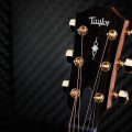 Taylor 314ce 50th Anniversary