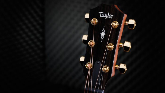 Taylor 314ce 50th Anniversary
