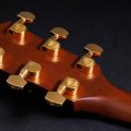 Taylor 314ce 50th Anniversary