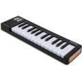 Arturia MicroLab mk3, black