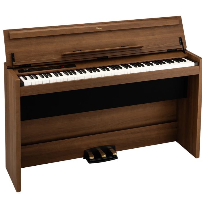 Korg Poetry Magnifique