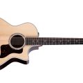 Taylor 454ce, Next Generation