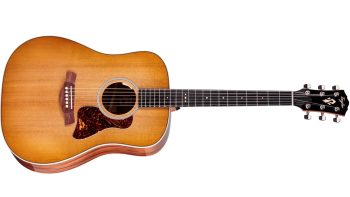 Taylor Gold Label 510e