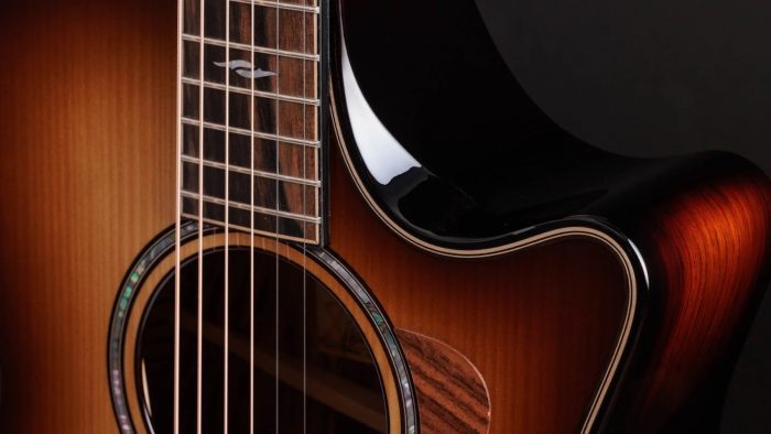 Taylor Builder's Edition 814ce Honduran / Adirondack, Next Generation