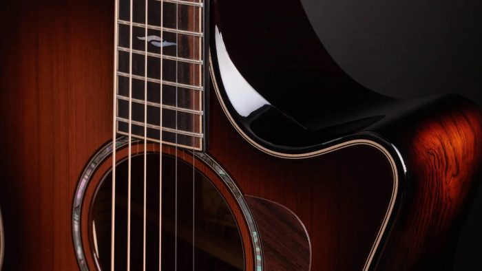 Taylor Builder's Edition 814ce Honduran / Sinker Redwood, Next Generation