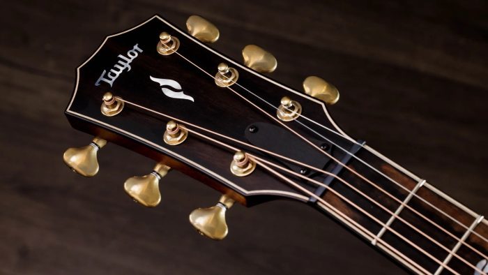 Taylor Builder's Edition 814ce Blacktop, Next Generation