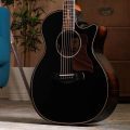 Taylor Builder's Edition 814ce Blacktop, Next Generation
