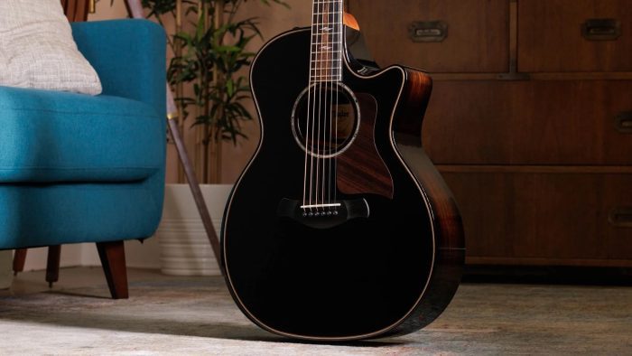 Taylor Builder's Edition 814ce Blacktop, Next Generation