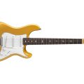 Prs Silver Sky Gold Spark