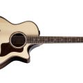 Taylor Builder's Edition 814ce, Next Generation