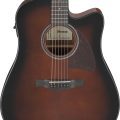Ibanez AAD51CE-DVS
