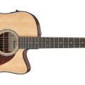 Ibanez AAD51CE-NT