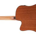 Ibanez AAD51CE-NT