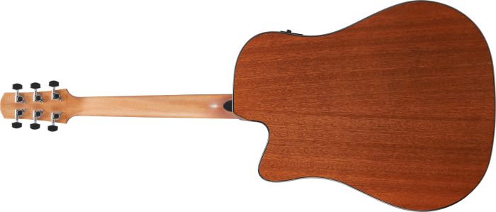 Ibanez AAD51CE-NT
