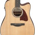 Ibanez AAD51CE-NT