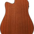 Ibanez AAD51CE-NT