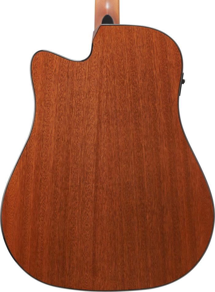 Ibanez AAD51CE-NT