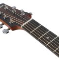 Ibanez AAD51CE-NT