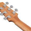Ibanez AAD51CE-NT