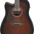 Ibanez AAD51LCE-DVS