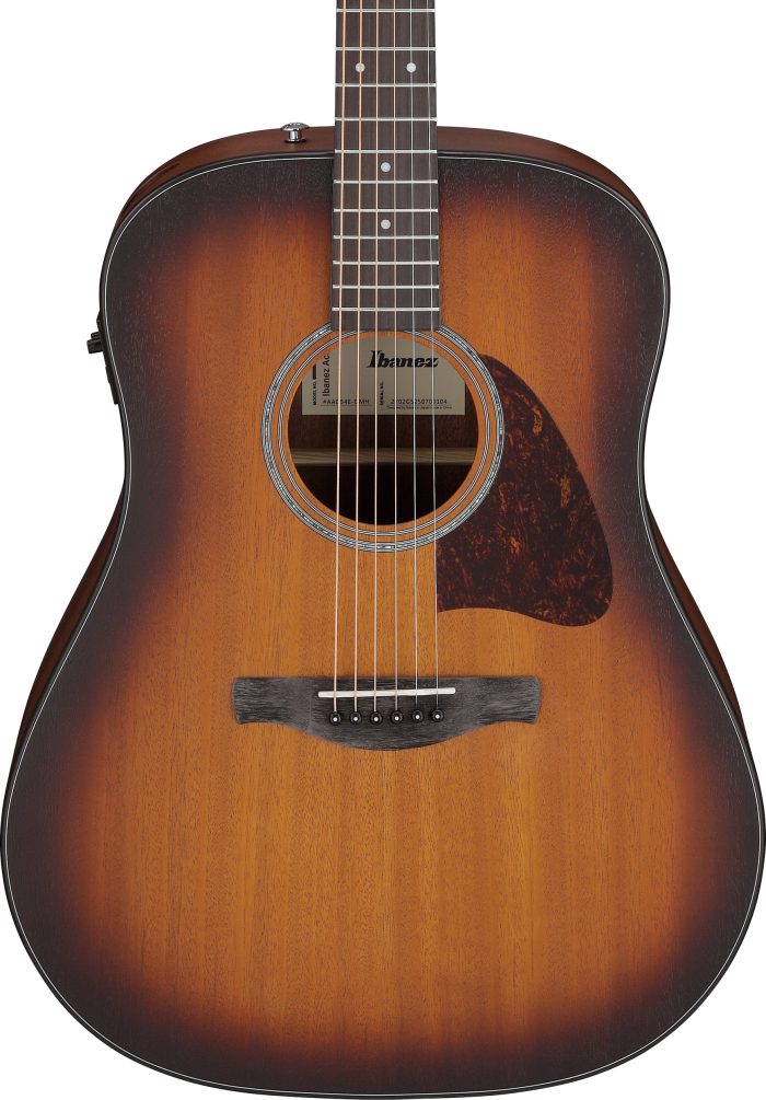 Ibanez AAD54E-OMH