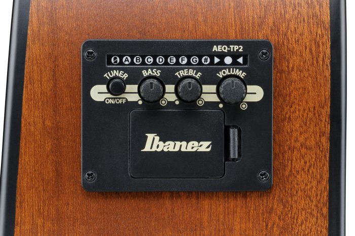 Ibanez AAD54E-OMH