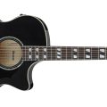 Ibanez AE170-TBK
