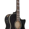 Ibanez AE170-TBK