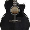 Ibanez AE170-TBK